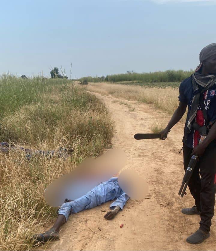 Troops neutralize 9 terrorists and recover N5m ransom money in Borno