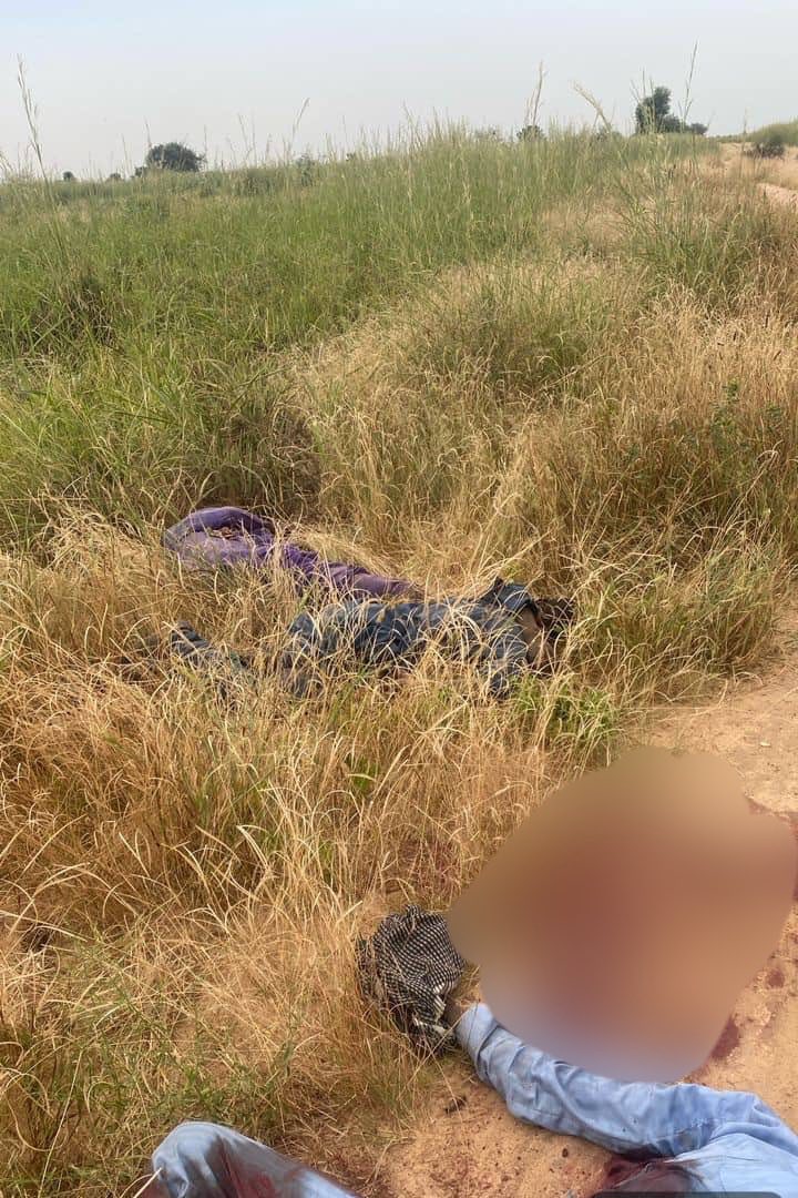 Troops neutralize 9 terrorists and recover N5m ransom money in Borno