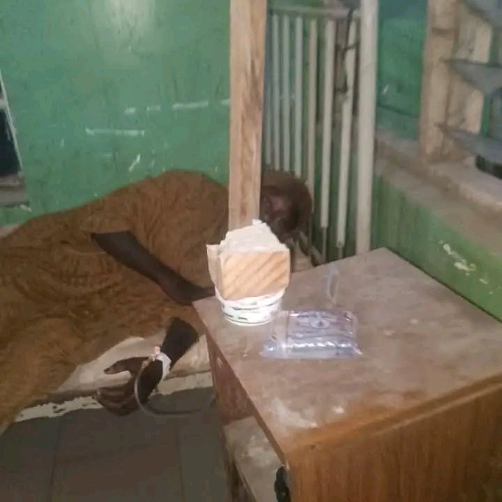 Bride and family reunited after <a href=