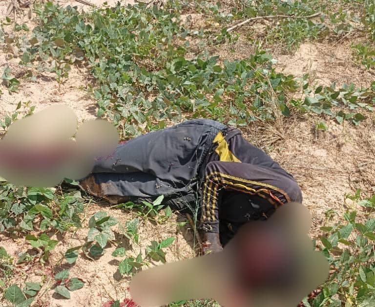 Troops neutralize 9 terrorists and recover N5m ransom money in Borno