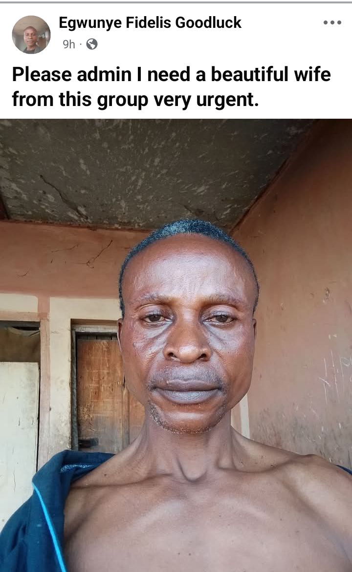 Nigerian man seeks a beautiful wife, says it