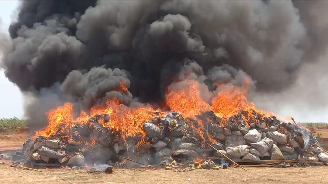 NDLEA destroys 8.2kg of seized illicit drugs in Yobe