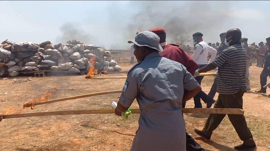 NDLEA destroys 8.2kg of seized illicit drugs in Yobe