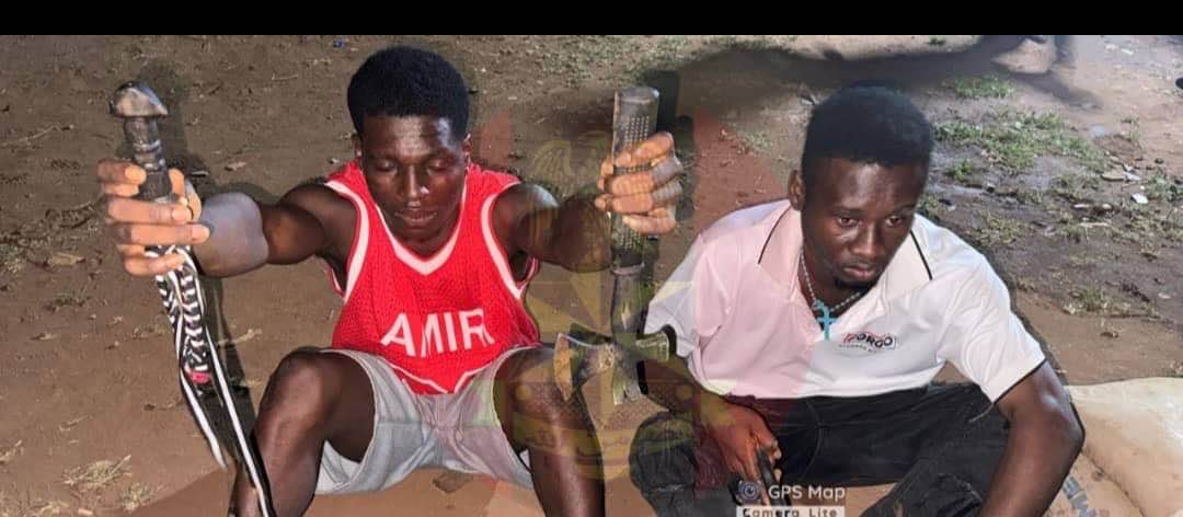 Troops burst criminal gang, recover arms and ammunition in Delta