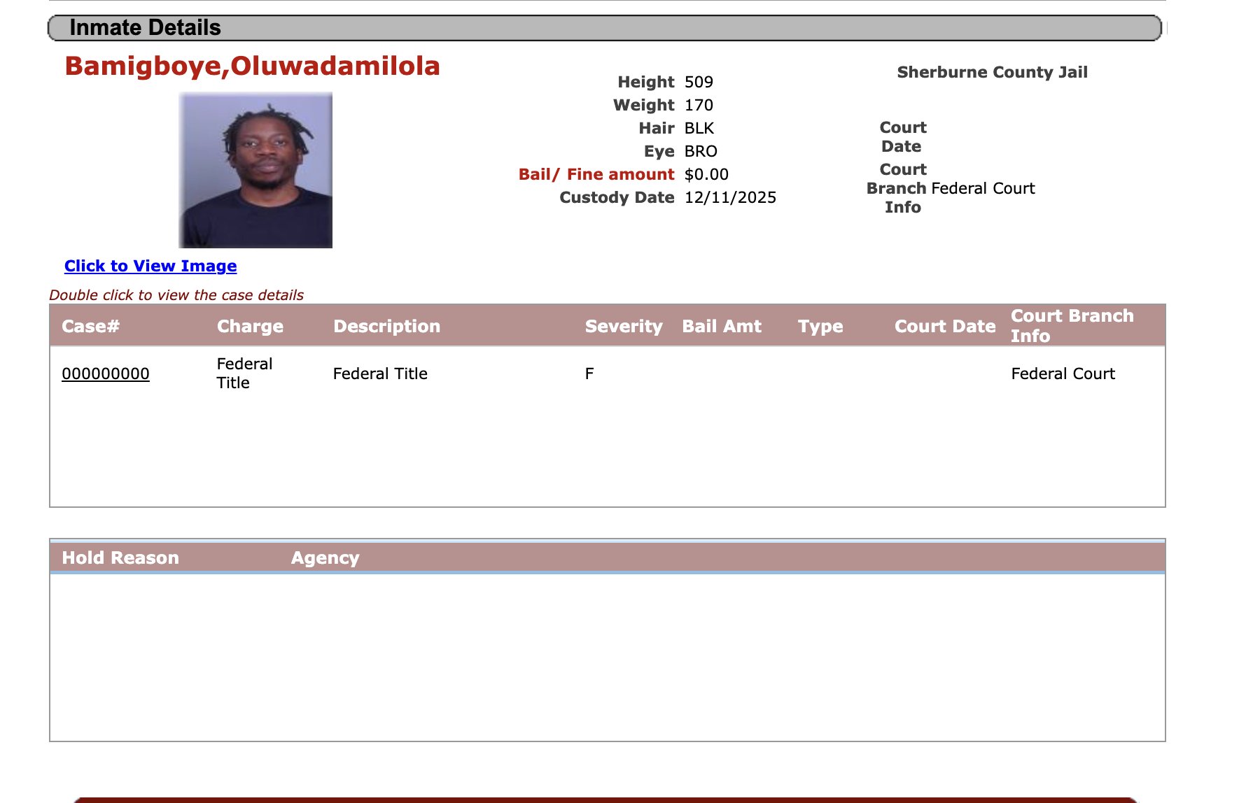 Nigerian man and American woman arrested for allegedly