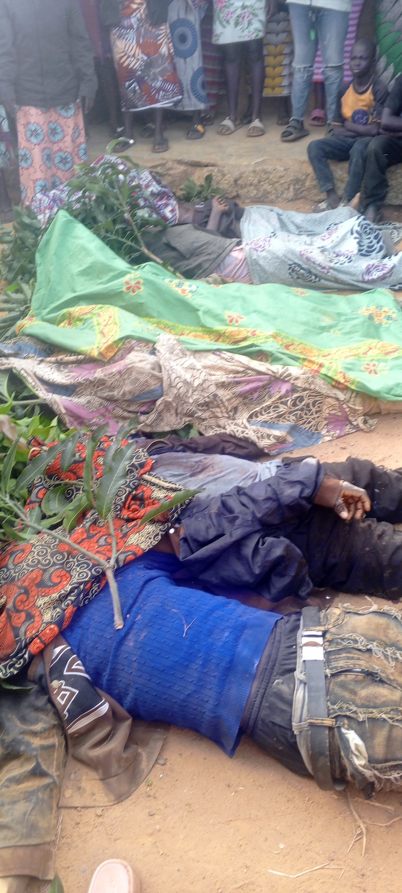 Gunmen k!ll 10 in Plateau communities