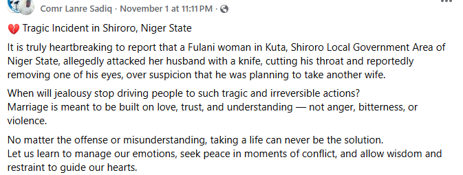 Woman brutally attacks her husband with knife over his alleged plan to marry second wife in Niger State