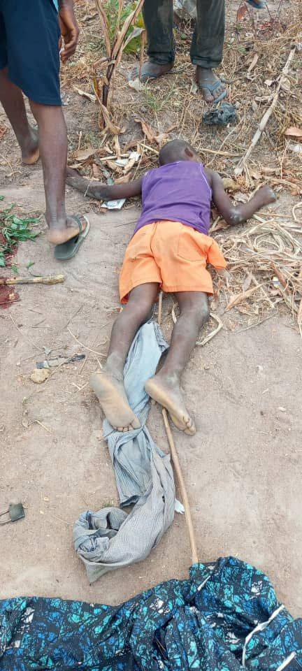 17 k!lled, eight injured as militia attack returning IDPs in Taraba