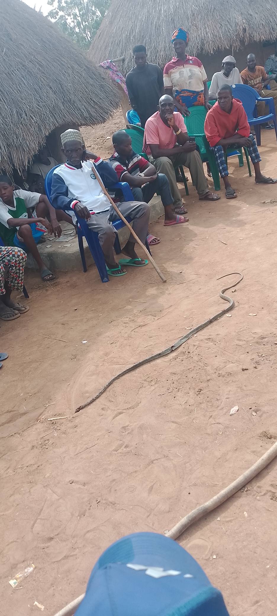 Young man d!es after snake bite in Benue community, grieving youths find and k!ll the reptile