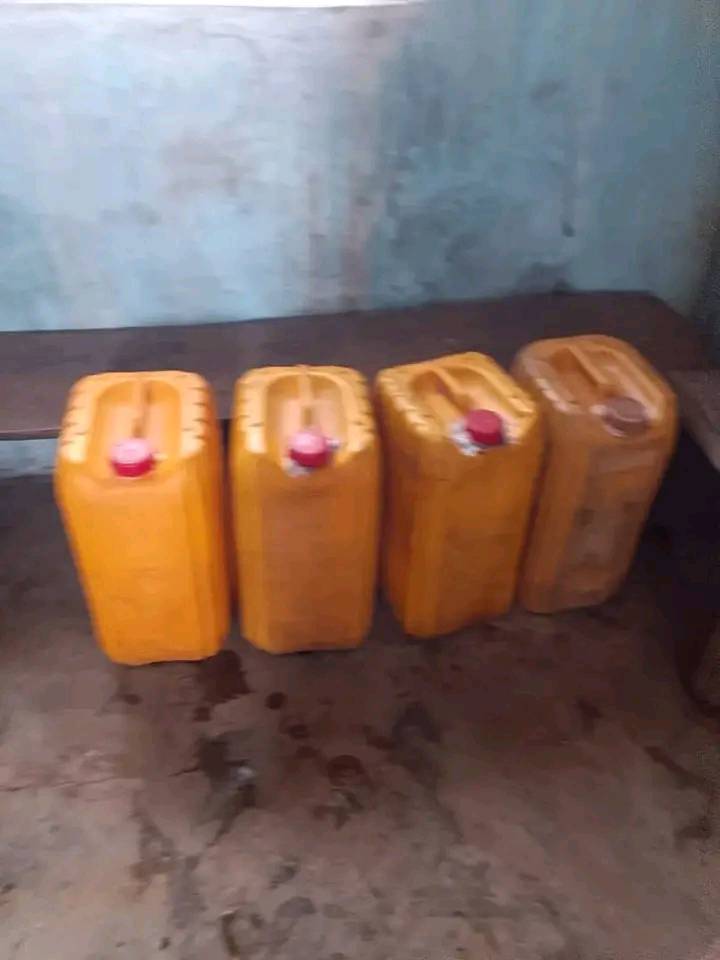 Vigilantes capture seven bandits in Kwara