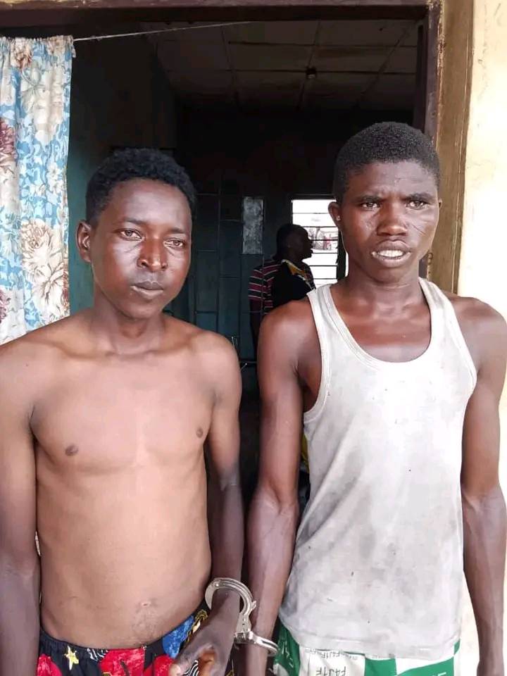 Vigilantes capture seven bandits in Kwara