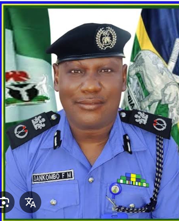Adamawa police arrest two women, rescue three teenage girls in alleged child trafficking operation