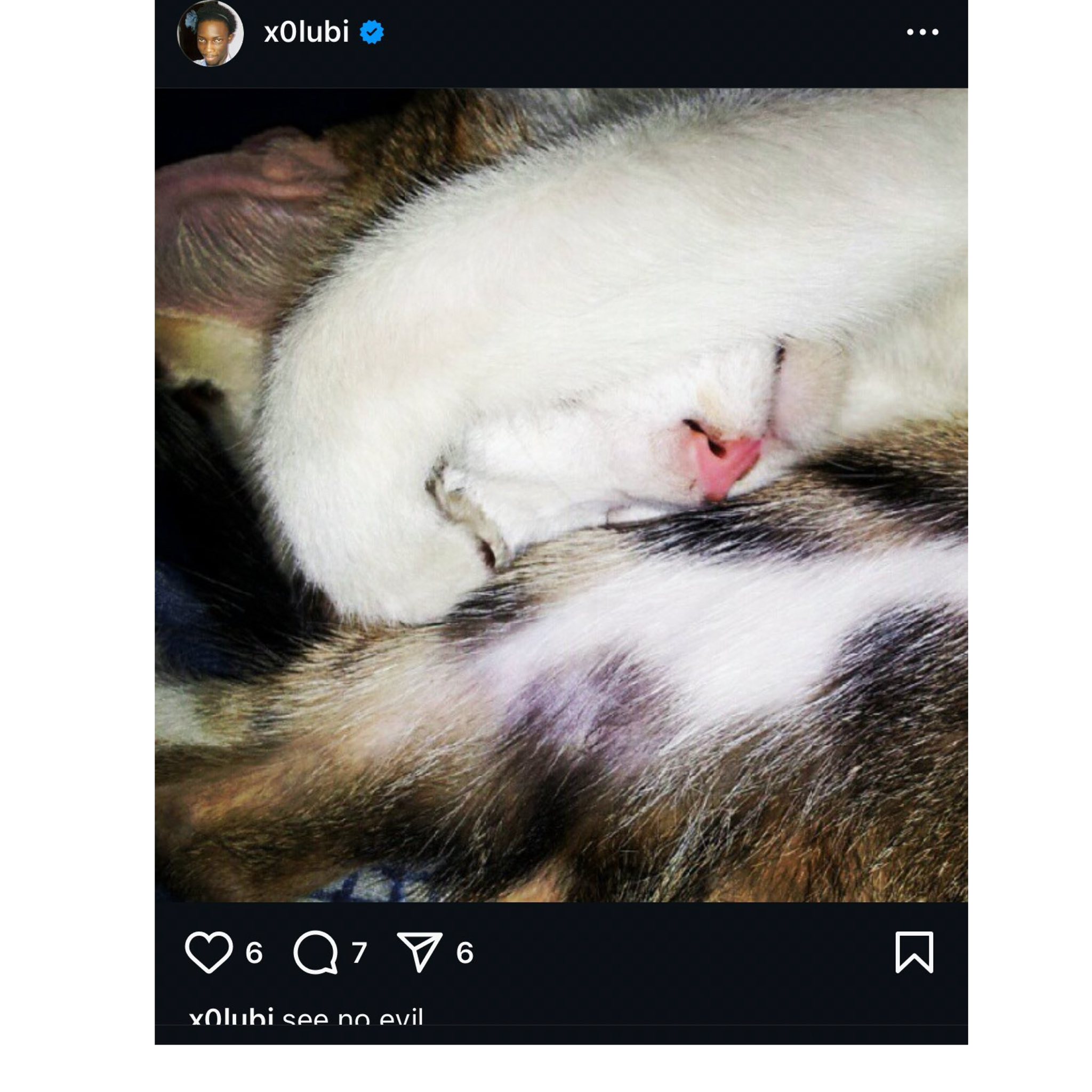 More disturbing Instagram posts from Paystack co-founder Ezra Olubi surfaces