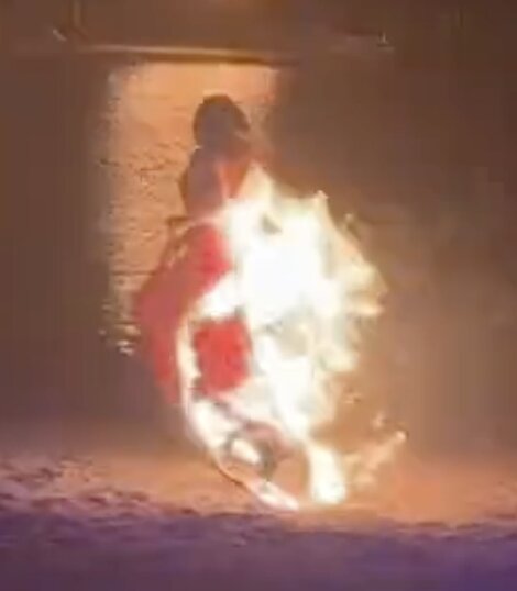 Terrifying video shows moment dancer is engulfed in flames during zoo performance