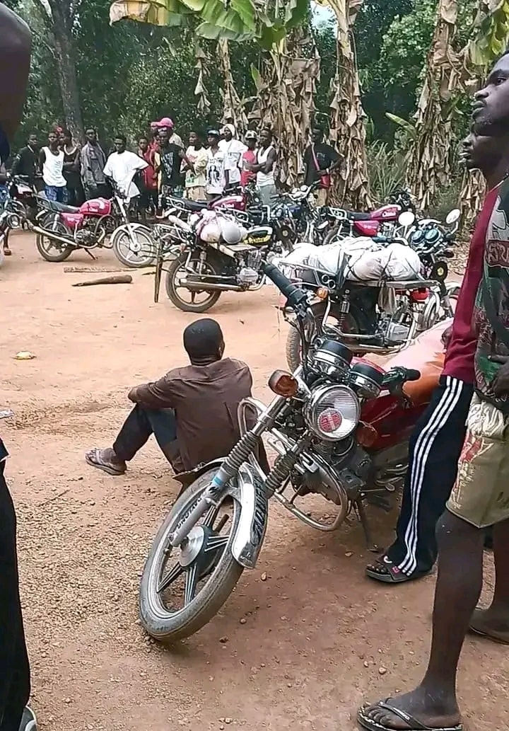 Suspected herders k!ll father and son in Benue community