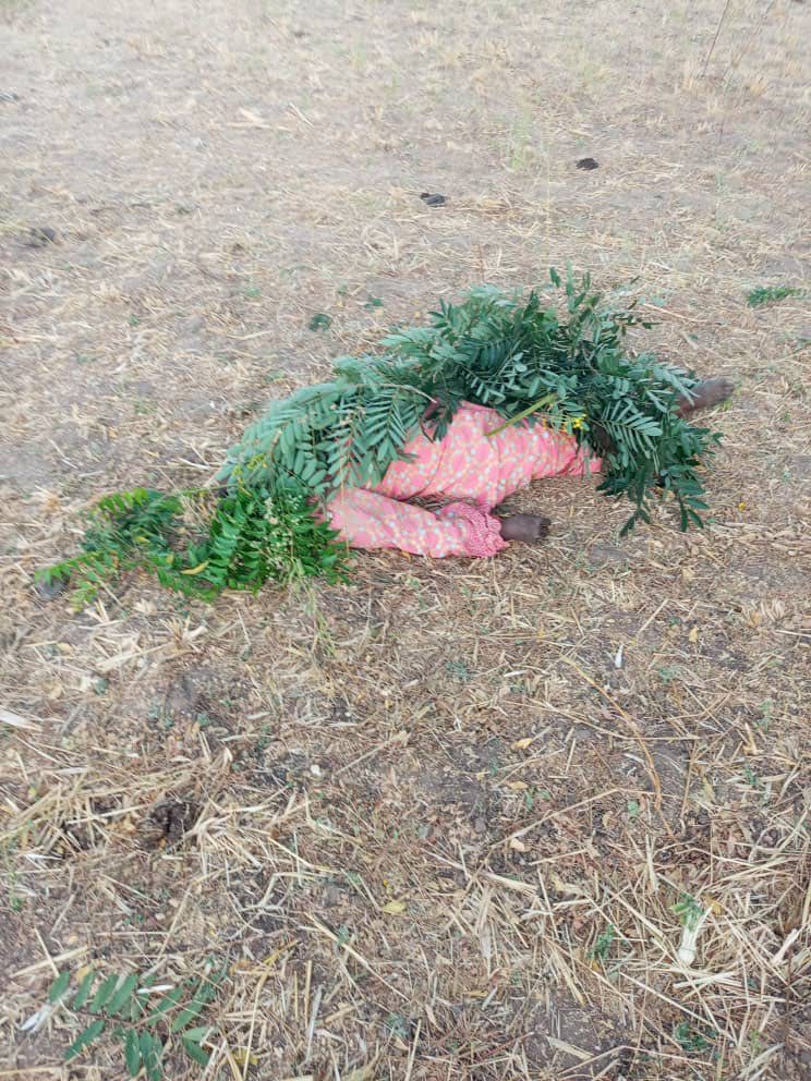 Six journalists d!e in Gombe auto crash