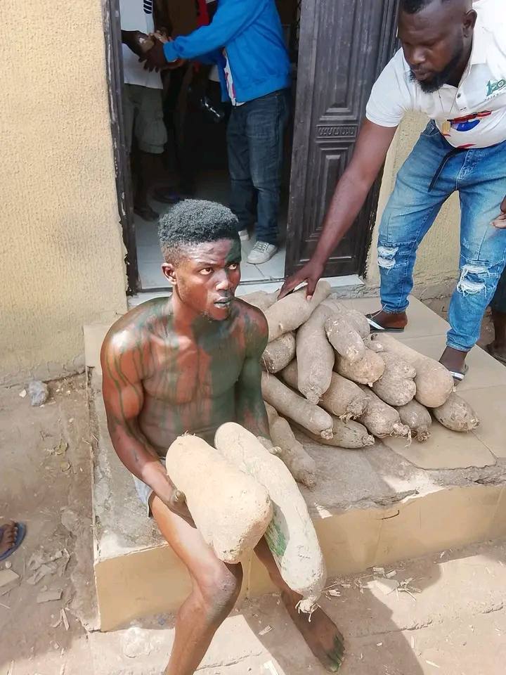 Suspected yam thief nabbed in Benue market