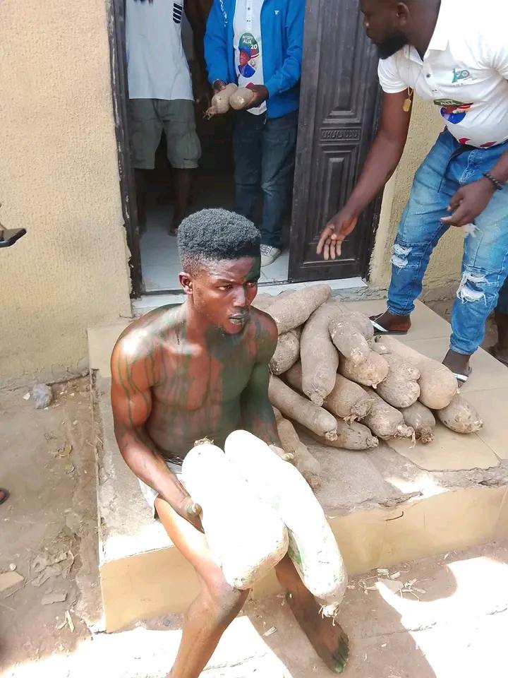 Suspected yam thief nabbed in Benue market