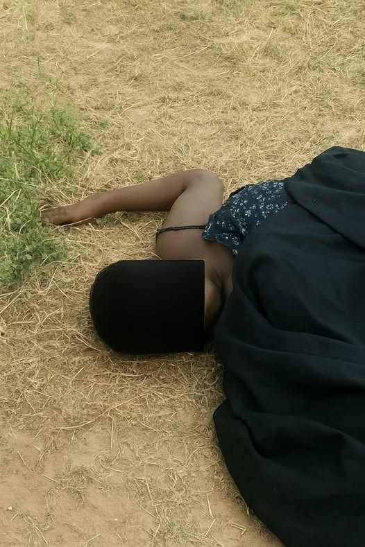 Woman found d3ad near Yobe varsity