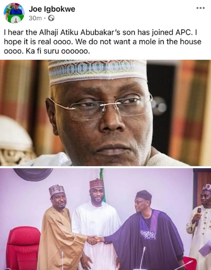 We do not want a mole in the house ooo- APC chieftain, Joe Igbokwe, reacts to Atiku?s son defecting to APC