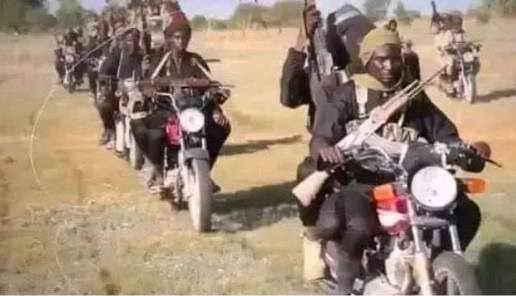 Bandits abduct 11 children from their father